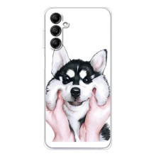 Чехлы с собаками для Samsung Galaxy M36 (VPrint) (Довольный Хаски)