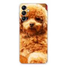 Чехлы с собаками для Samsung Galaxy M36 (VPrint) (Щенок Бишон)