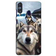 Чехол с Хаски для Samsung Galaxy M40 - (AlphaPrint) (Селфи ХАски)