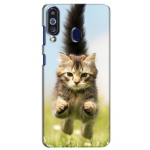 Чехлы с Котиками для Samsung Galaxy M40 (VPrint) (Прыжок кота)