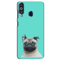 Бампер для Samsung Galaxy M40 с картинкой "Песики" – Собака Мопс