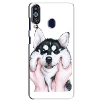 Бампер для Samsung Galaxy M40 с картинкой "Песики" – Собака Хаски