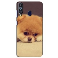Чехол (ТПУ) Милые собачки для Samsung Galaxy M40 (Померанский шпиц)