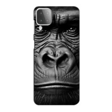 Чехлы с Горилой на Самсунг М42 – Черная обезьяна