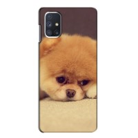 Чехол (ТПУ) Милые собачки для Samsung Galaxy M51 (Померанский шпиц)
