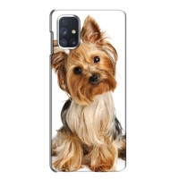 Чехол (ТПУ) Милые собачки для Samsung Galaxy M51 (Собака Терьер)