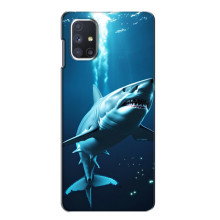 Чохол з картинкою 'Хижаки' для Samsung Galaxy M51 – Акула
