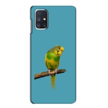 Силиконовый чехол с птичкой на Samsung Galaxy M51 – Попугайчик