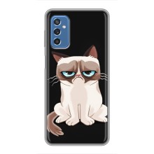 Чехол с принтом для Samsung Galaxy M52 5G (M526) (AlphaPrint) Модные коты – Грустный кот