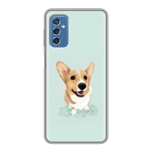 Чехлы с собаками для Samsung Galaxy M52 (VPrint) (Корги)
