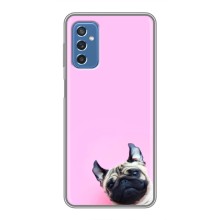 Чехлы с собаками для Samsung Galaxy M52 (VPrint) (Смешная собака)