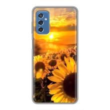 Чехол с Цветами для Samsung Galaxy M52 (поле подсолнухов)