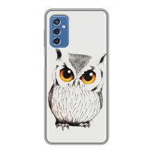 Чехол с птицами на Samsung Galaxy M52 (VPrint) (Милая Сова)