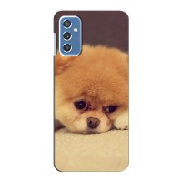 Чехол (ТПУ) Милые собачки для Samsung Galaxy M52 – Померанский шпиц