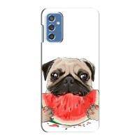 Чехол (ТПУ) Милые собачки для Samsung Galaxy M52 – Смешной Мопс