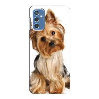 Чехол (ТПУ) Милые собачки для Samsung Galaxy M52 – Собака Терьер