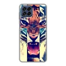 Чохли з зображенням різних тварин на Samsung Galaxy M53 (5G) (M536B) (Яскравий Тигр)