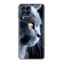 Чехлы с Котиками для Samsung Galaxy M53 (5G) (M536B) (VPrint) (Серый Кот)
