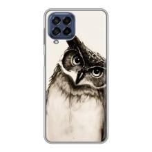 Чехол с птицами на Samsung Galaxy M53 (5G) (M536B) (VPrint) (Сова)