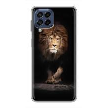 Чохол з картинкою ЛЕВ для Samsung Galaxy M53 (5G) (M536B) (VPrint) (Лев)
