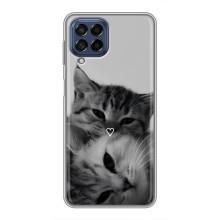 Чехол с рисунком кот на Samsung Galaxy M53 (5G) (M536B) (Пара котов)