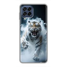 Чохол з картинкою 'Хижаки' для Samsung Galaxy M53 (5G) (M536B) – Тигр