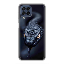 Чохол з картинкою 'Хижаки' для Samsung Galaxy M53 (5G) (M536B) – Змія