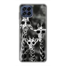 Силиконовый чехол с КАРТИНКАМИ лето для Samsung Galaxy M53 (5G) (M536B) (AlphaPrint) (Жирафы в очках)