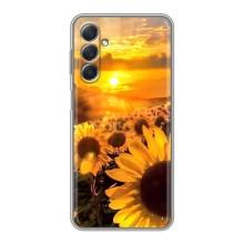 Чехол с Цветами для Sansung Galaxy M54 (5G) (поле подсолнухов)