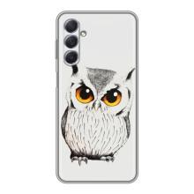 Чехол с птицами на Sansung Galaxy M54 (5G) (VPrint) (Милая Сова)