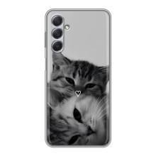 Чохол з малюнком кіт на Sansung Galaxy M54 (5G) – Пара котів