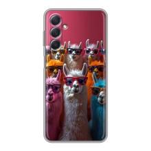 Чехол с принтом стильные животные для Самсунг М54 – Ламы в очках