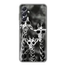 Силиконовый чехол с КАРТИНКАМИ лето для Sansung Galaxy M54 (5G) (AlphaPrint) (Жирафы в очках)