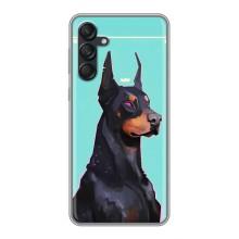 Чехол ДОБЕРМАН для Samsung Galaxy M55 5G – Король доберман