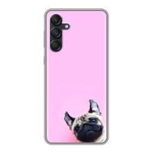 Бампер для Samsung Galaxy M55 5G с картинкой "Песики" (Собака на розовом)