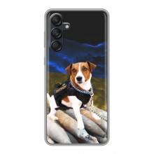 Чохол з принтом Песика Патрон для Samsung Galaxy M55 5G (Пес Патрон)