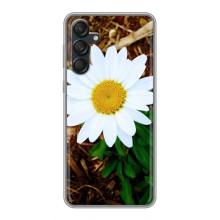 Чехол с ромашками на Samsung Galaxy M55 5G – Белая ромашка