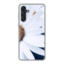 Чехол с ромашками на Samsung Galaxy M55 5G – Пол ромашки