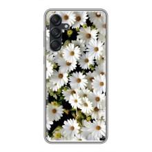 Чехол с ромашками на Samsung Galaxy M55 5G – Рамка в ромашках