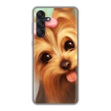 Чохол (ТПУ) Милі песики для Samsung Galaxy M55 5G – Йоркширський тер'єр