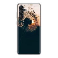 Силиконовый Чехол с одуванчиками на Samsung Galaxy M55 5G – Красивый одуванчик