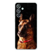 Чехлы с картинками животных Samsung Galaxy M56 (Овчарка)