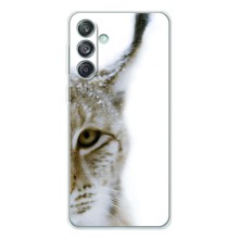 Чехлы с картинками животных Samsung Galaxy M56 (Рысь)