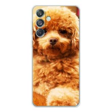 Чехлы с собаками для Samsung Galaxy M56 (VPrint) (Щенок Бишон)