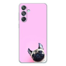 Чехлы с собаками для Samsung Galaxy M56 (VPrint) (Смешная собака)