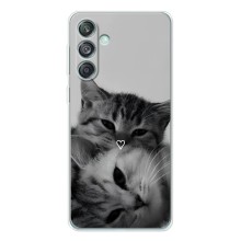 Чехол с рисунком кот на Samsung Galaxy M56 (Пара котов)