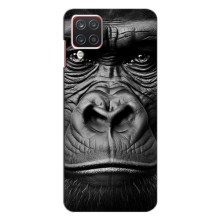 Чохли з Горилою на Самсунг М62 – Чорна мавпа