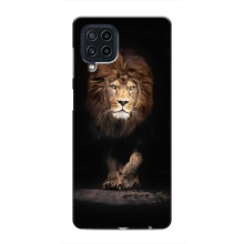 Чехол со Львом для Samsung Galaxy M62 (VPrint) (Лев)