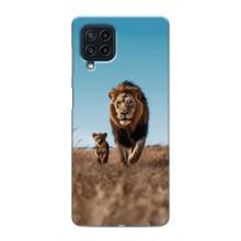 Чехол Король лев на Самсунг М62 – Мусафа и Симба