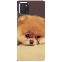 Чехол (ТПУ) Милые собачки для Samsung Galaxy Note 10 Lite (Померанский шпиц)